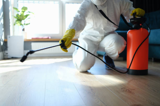 Reliable Infectious Disease Decontamination contractor in Johannesburg, CA by Crime Scene Cleaner Online